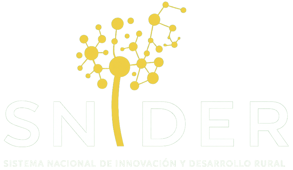 SNIDER logo transparente